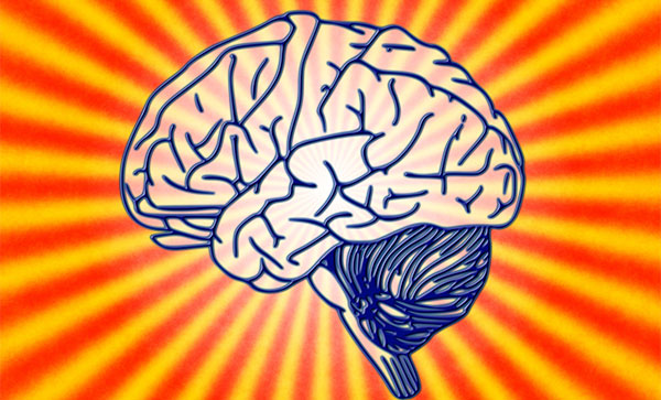 ����dha��ʳ�� ����dha��ʲô�ô�